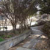 Saunders Park