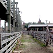 Stockyards Station - Cowtown Cattlepen Maze
