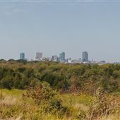 Tandy Hills Natural Area