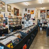 Panther City Vinyl