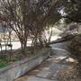 Saunders Park