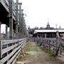 Stockyards Station - Cowtown Cattlepen Maze