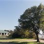 Mosque Point Park
