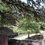 Stockyards National Historic District