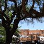 Stockyards National Historic District