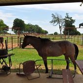Diamond A Bar Ranch