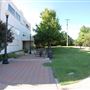 Arlington Museum of Art