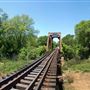 Walnut Creek Bridge