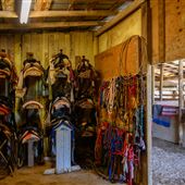 Benbrook Stables