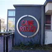 Cane Rosso