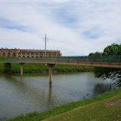 Trinity River Foot Bridges