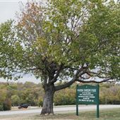 Marion Sansom Park