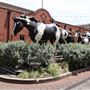 Stockyards National Historic District