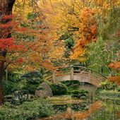 Fort Worth Botanic Garden
