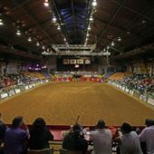 Stockyards Station - Cowtown Colliseum