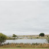 Marine Creek Lake