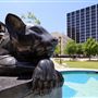 Hyde Park / Panther Statue