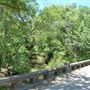 Walnut Creek Bridge