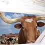Stockyards National Historic District