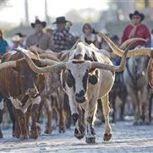 Stockyards National Historic District
