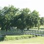 Fort Worth Bridges