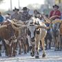 Stockyards National Historic District