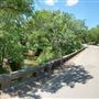Walnut Creek Bridge