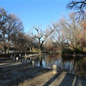 Trinity Park Duck Pond