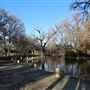 Trinity Park Duck Pond