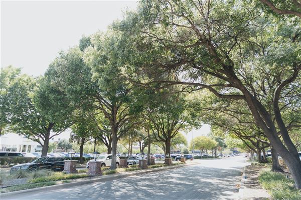 University Park Village